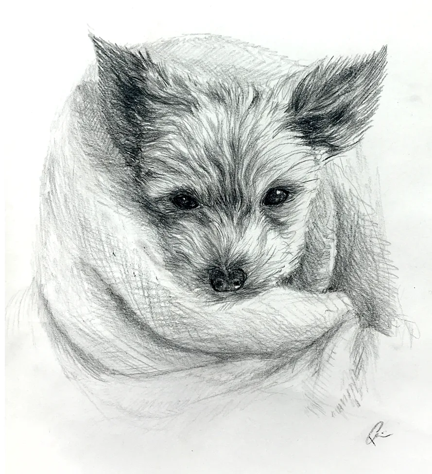 Portrait by Shalagh Quinn — 14