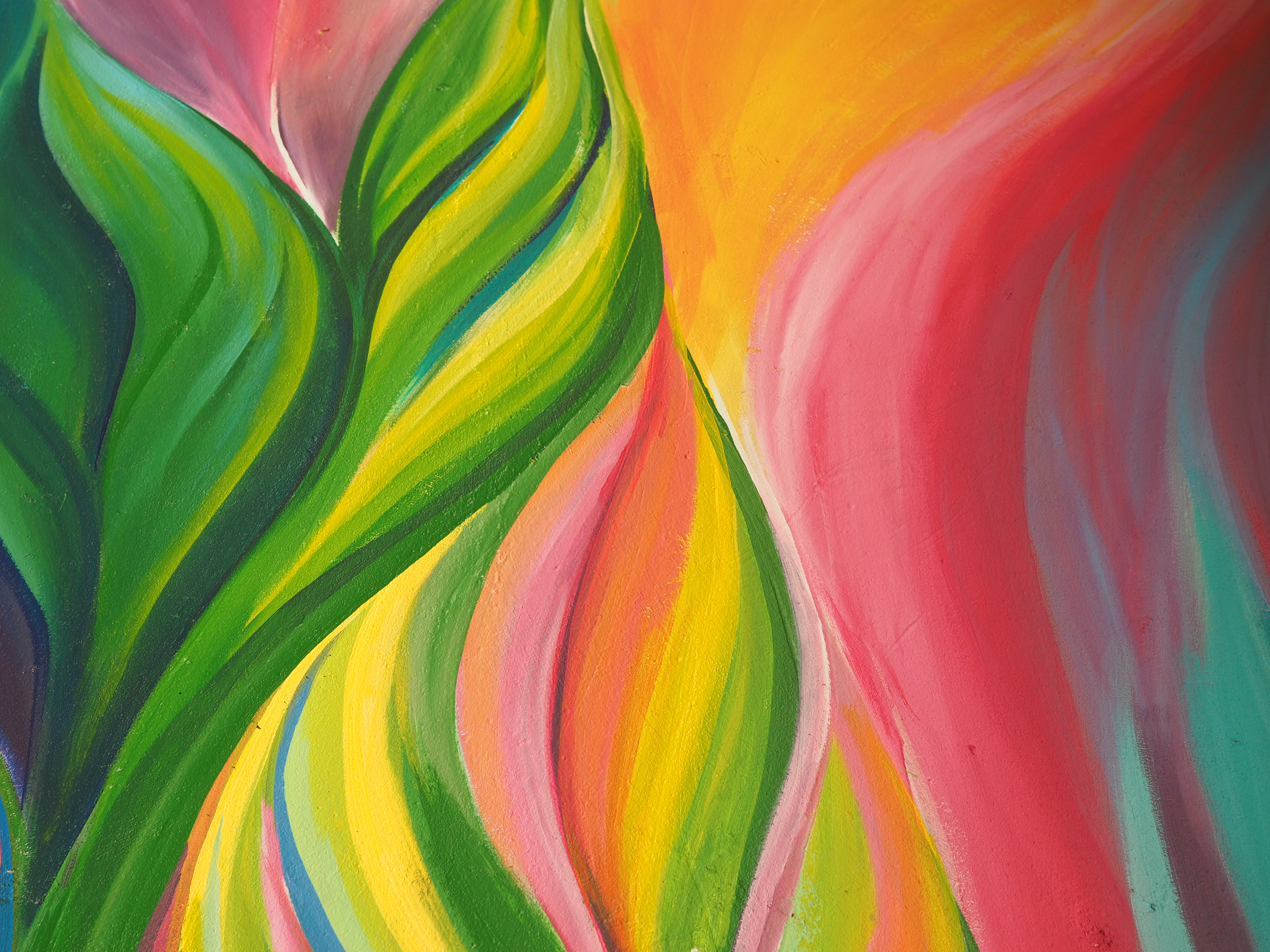 cover 7