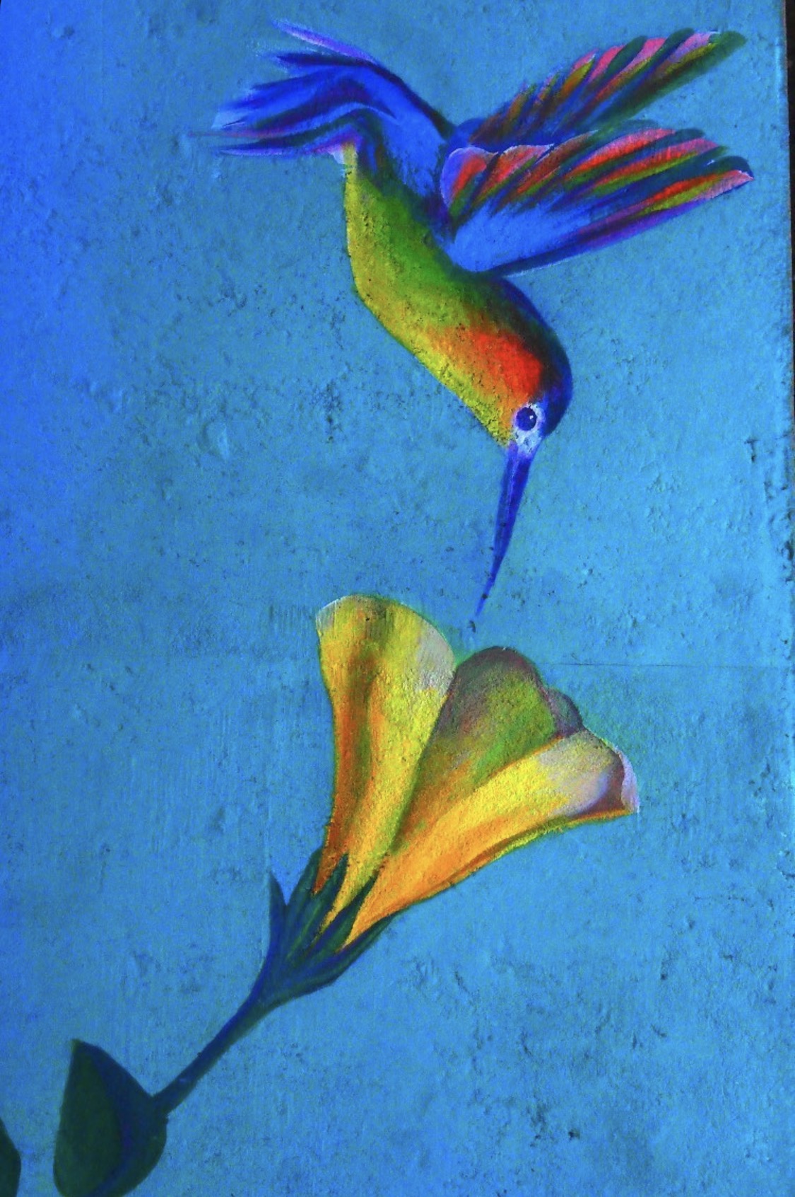 cover 18