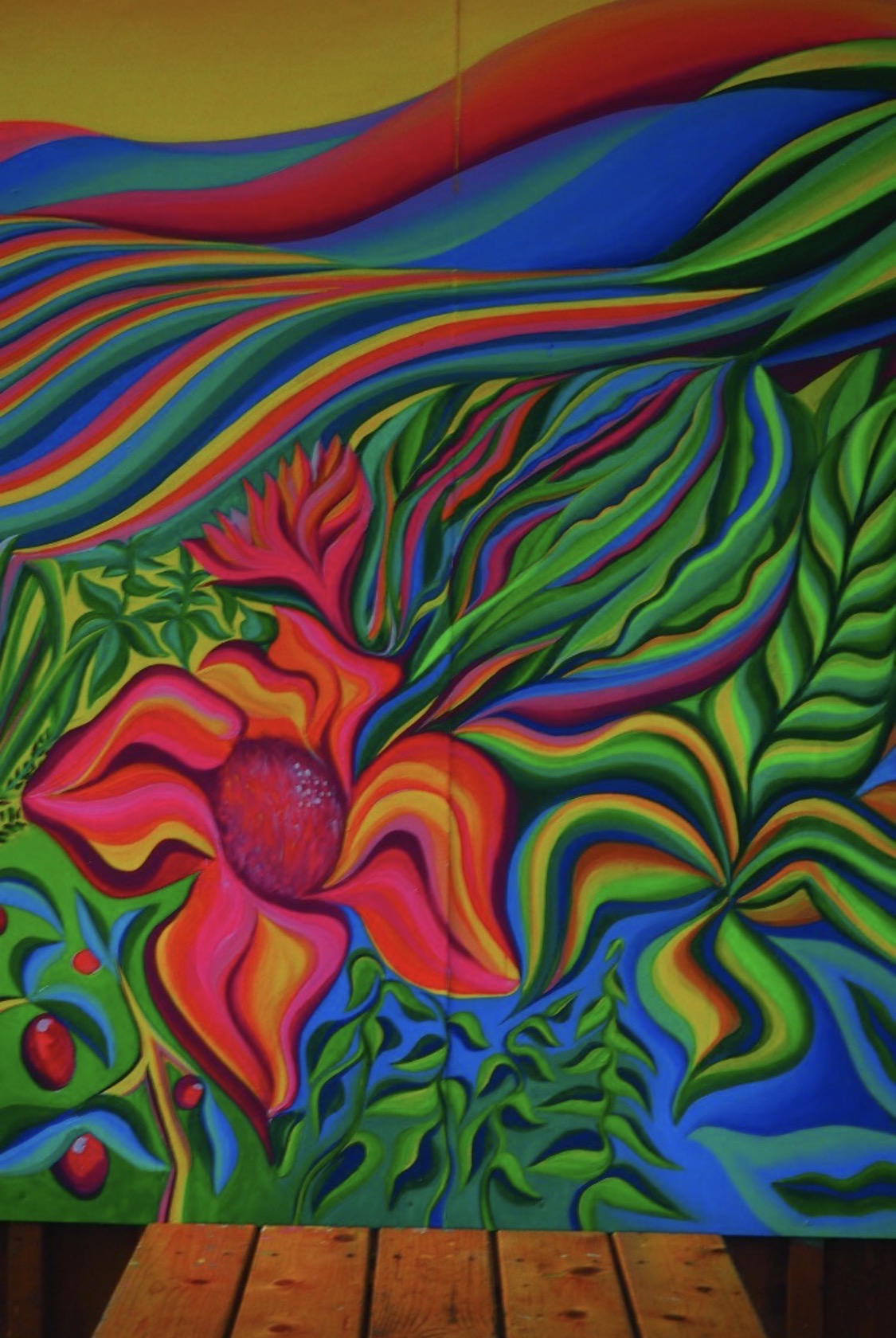 cover 5